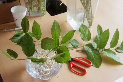 2 c&#225;ch cắm hoa để b&#224;n đẹp mừng ng&#224;y của Cha