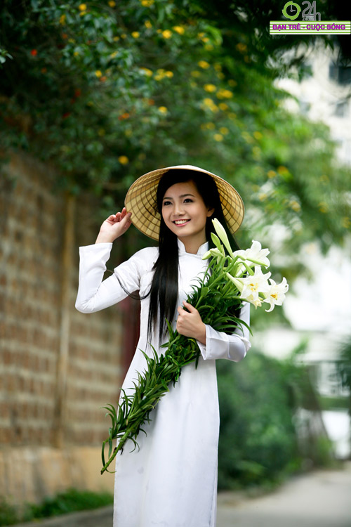 B&#237; quyết chọn mua v&#224; c&#225;ch giữ hoa loa k&#232;n tươi l&#226;u