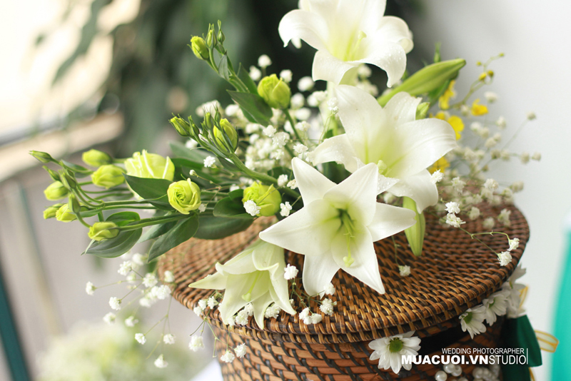 B&#237; quyết chọn mua v&#224; c&#225;ch giữ hoa loa k&#232;n tươi l&#226;u
