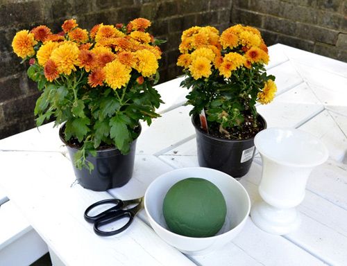 Ai nấy đều trầm trồ với c&#225;ch cắm hoa c&#250;c để b&#224;n n&#224;y