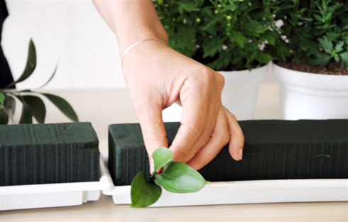 C&#225;ch cắm hoa c&#250;c v&#224;ng mang ph&#250;c lộc ngập tr&#224;n đ&#243;n Tết