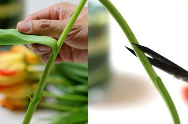 C&#225;ch cắm hoa để b&#224;n dạng tr&#242;n với l&#225; thiết mộc lan