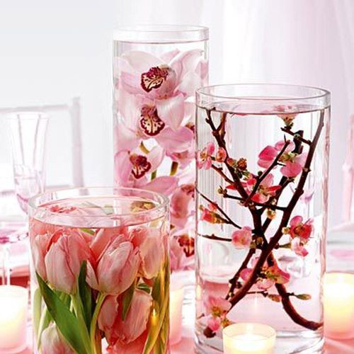 C&#225;ch cắm hoa độc đ&#225;o ch&#236;m trong nước mỏng manh