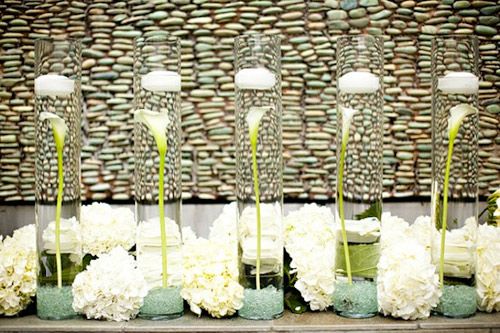 C&#225;ch cắm hoa độc đ&#225;o ch&#236;m trong nước mỏng manh
