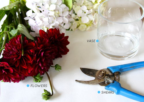 C&#225;ch cắm hoa thược dược đơn giản trong cốc thủy tinh