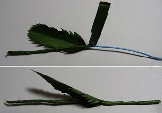 C&#225;ch l&#224;m hoa c&#250;c bằng giấy từ việc cắt giấy