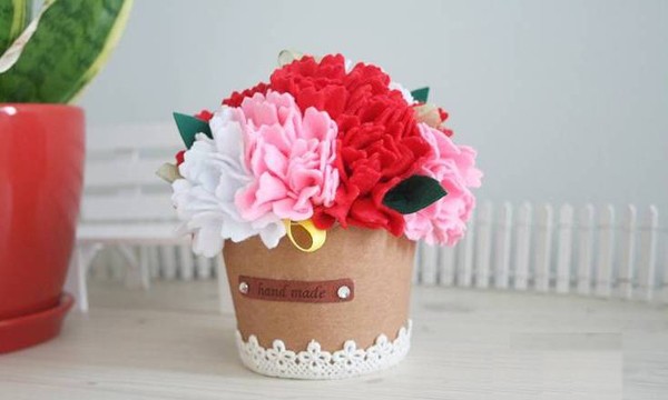 2 c&#225;ch l&#224;m chậu hoa cẩm chướng đơn giản m&#224; đẹp mắt