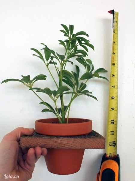 C&#225;ch l&#224;m gi&#225; để chậu c&#226;y nhiều tầng tiện dụng từ gỗ