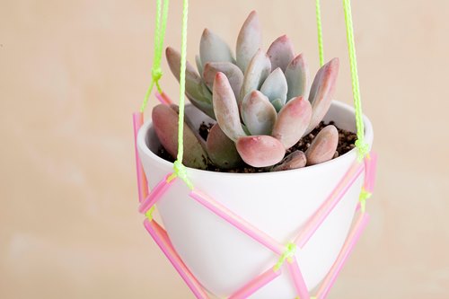 C&#225;ch l&#224;m giỏ hoa treo tường từ ống h&#250;t độc đ&#225;o