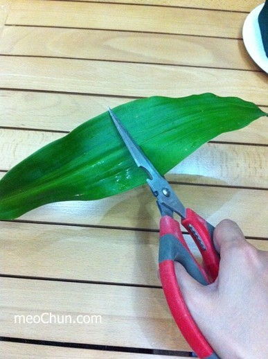 C&#225;ch l&#224;m hoa hồng từ l&#225; thiết mộc lan ấn tượng