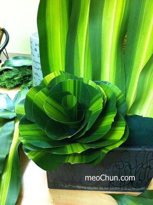 C&#225;ch l&#224;m hoa hồng từ l&#225; thiết mộc lan ấn tượng