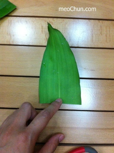 C&#225;ch l&#224;m hoa hồng từ l&#225; thiết mộc lan ấn tượng