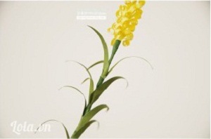 C&#225;ch l&#224;m hoa lavender bằng giấy đơn giản nhất