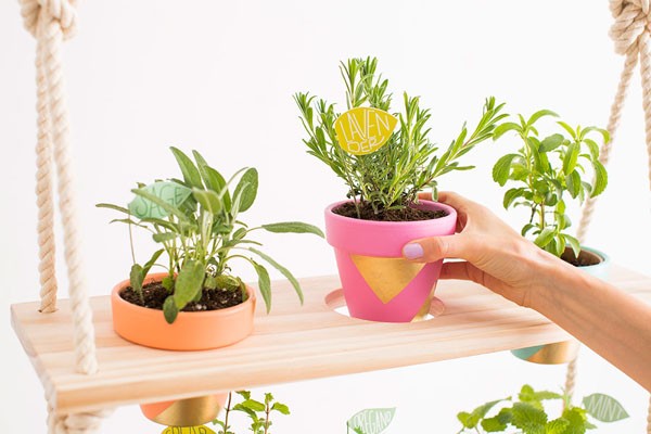 L&#224;m kệ trang tr&#237; bằng những chậu hoa cho nh&#224; th&#234;m m&#225;t