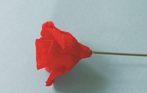 G&#243;p giấy học c&#225;ch l&#224;m hoa hồng đơn giản m&#224; đẹp &#39;miễn b&#224;n&#39;