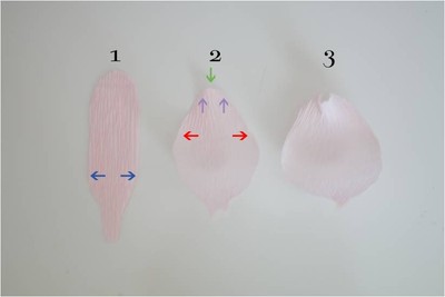 Học l&#224;m hoa mẫu đơn cho đầu tuần đầy năng lượng