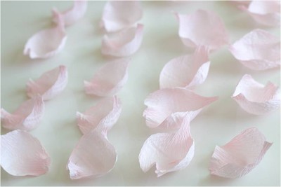 Học l&#224;m hoa mẫu đơn cho đầu tuần đầy năng lượng