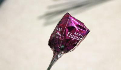 Kh&#233;o tay l&#224;m chậu hoa tulip giấy đ&#243;n năm mới ngọt ng&#224;o