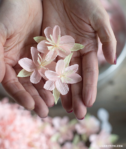 C&#225;ch l&#224;m c&#224;nh hoa anh đ&#224;o từ c&#224;nh đ&#224;o Tết đ&#227; cũ