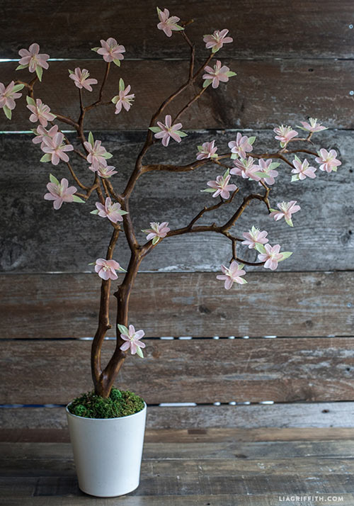 C&#225;ch l&#224;m c&#224;nh hoa anh đ&#224;o từ c&#224;nh đ&#224;o Tết đ&#227; cũ