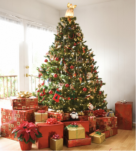 L&#224;m sao để trang tr&#237; c&#226;y th&#244;ng Noel tr&#244;ng thật đẹp
