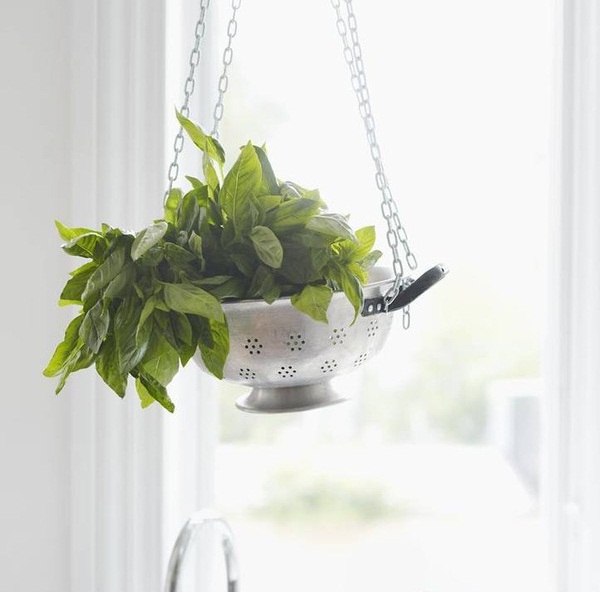 T&#225;i chế rổ cũ th&#224;nh chậu hoa handmade cực độc