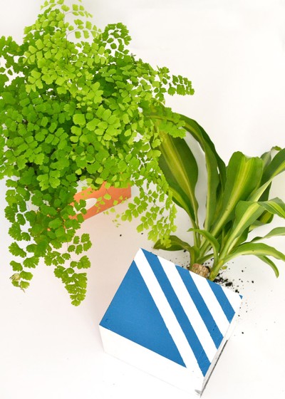 Tự chế chậu trồng c&#226;y từ gỗ vụn d&#249;ng được m&#227;i m&#227;i