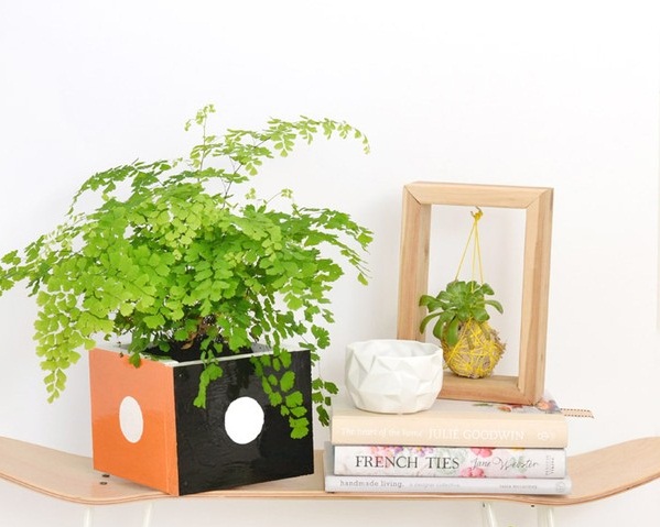 Tự chế chậu trồng c&#226;y từ gỗ vụn d&#249;ng được m&#227;i m&#227;i