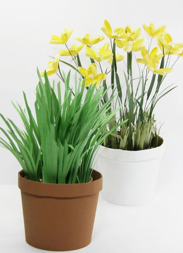 Tự l&#224;m chậu c&#226;y từ ly giấy tr&#244;ng thật như mua ngo&#224;i h&#224;ng