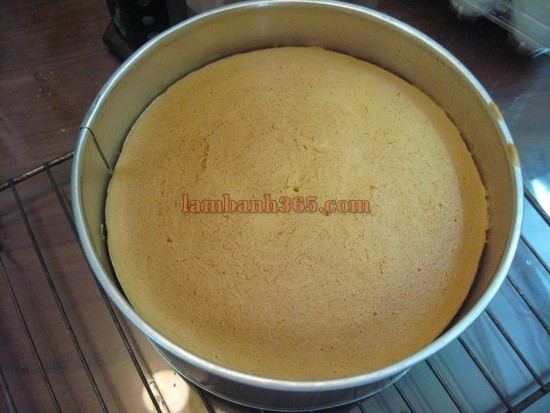 Antique caramel cake – Mơ về một miền xa