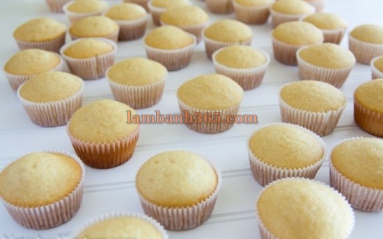 Cách làm bánh cupcake bằng nồi cơm điện