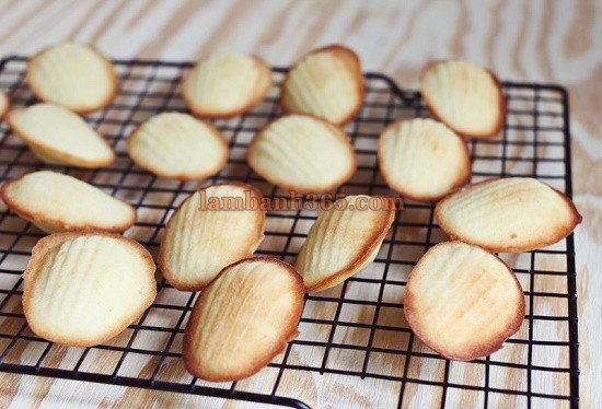 Cách làm bánh ngọt con sò Madeleines ngộ nghĩnh