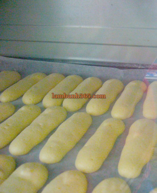 Cách làm bánh quy Lady Fingers hấp dẫn !