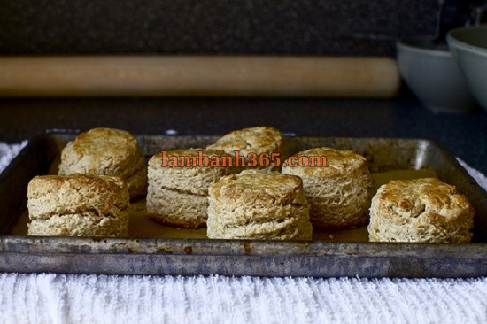 Cách làm bánh Scones yến mạch siro phong cực đơn giản