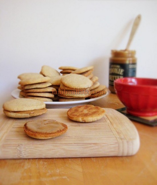 Cách làm bánh Speculoos Cookie Sandwiches