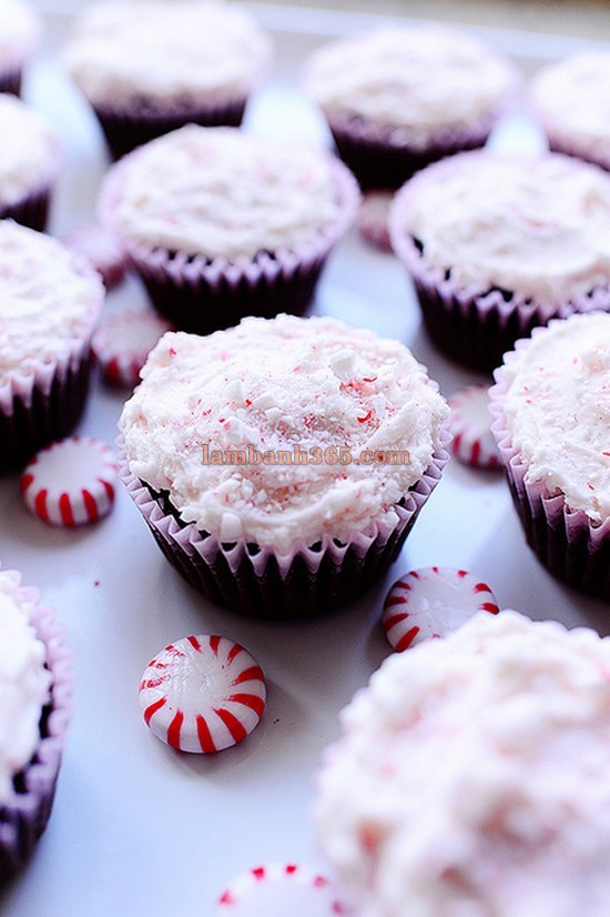 Cách làm cupcake chocolate – bạc hà