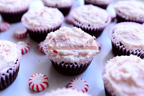 Cách làm cupcake chocolate – bạc hà