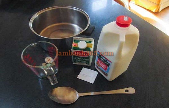 Cách làm mascarpone homemade từ whipping cream cực đơn giản