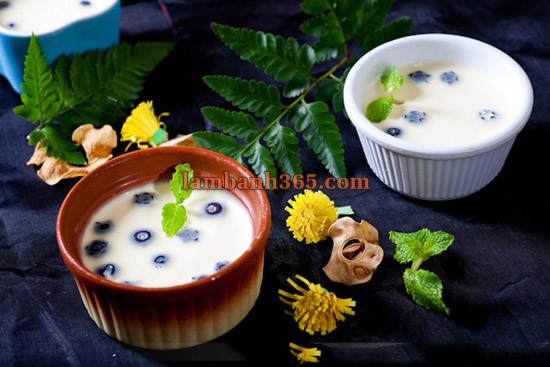 Cách làm Panna Cotta vị chanh việt quất hoàn hảo !