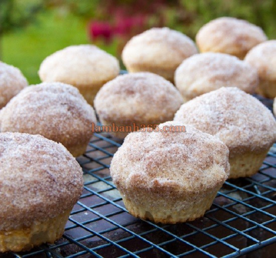 Cách làm bánh cupcake kiểu Pháp cho bữa sáng