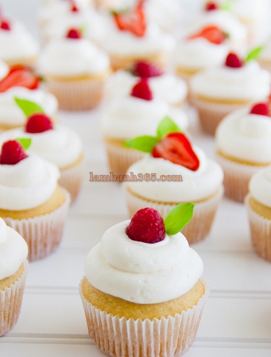 Cách làm cupcake vani hoàn hảo nhất!