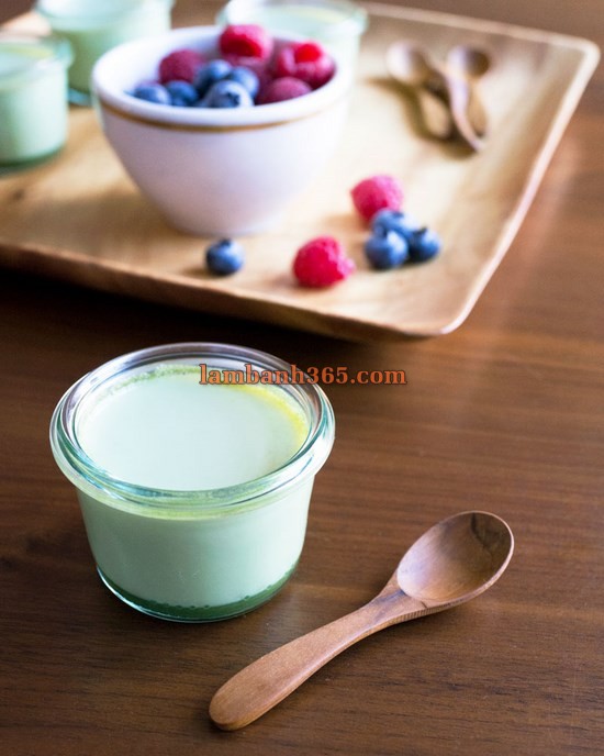 Cách làm panna cotta matcha đơn giản