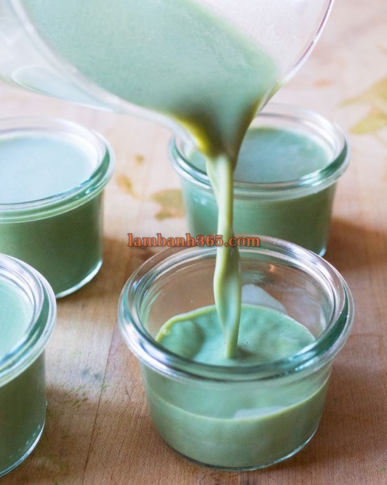 Cách làm panna cotta matcha đơn giản