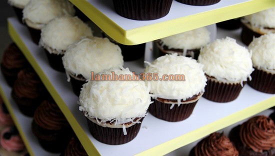 Cupcake chocolate dừa béo ngậy