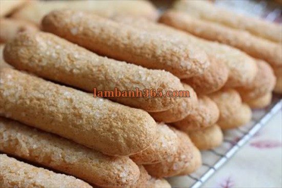 Cách làm bánh quy Lady Fingers hấp dẫn !