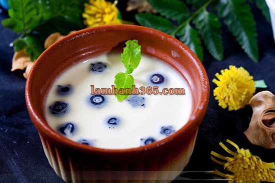 Cách làm Panna Cotta vị chanh việt quất hoàn hảo !