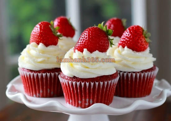 Red velvet cupcake hay chiếc bánh của tình yêu